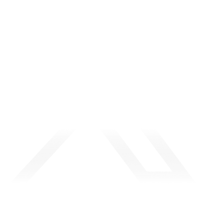 x icon